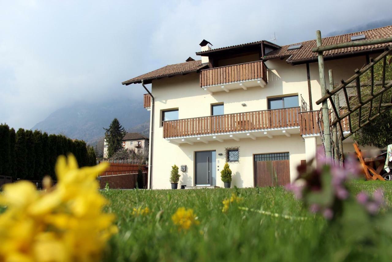 Ferienwohnung Haas Appiano Sulla Strada Del Vino Dış mekan fotoğraf